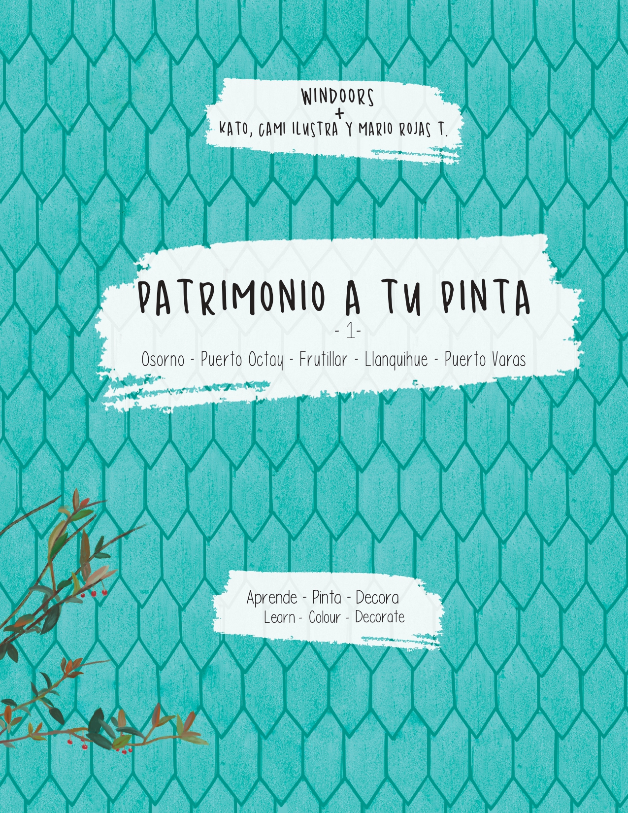 Vol. 1 — Lago Llanquihue y más